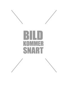 bild-kommer